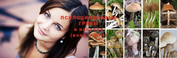 бошки Балахна