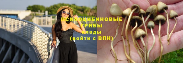 дурь Баксан